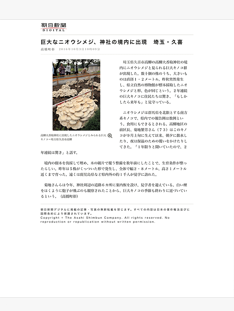 【巨大なニオウシメジ、神社の境内に出現　埼玉・久喜】朝日新聞　2016年10月3日より